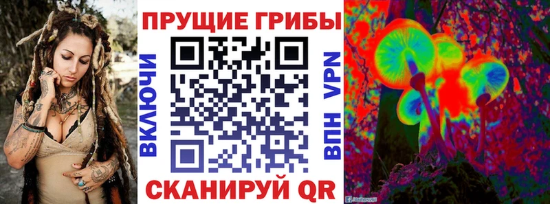 MEGA ссылка  это Telegram  Псилоцибиновые грибы Psilocybine cubensis  Кизел 